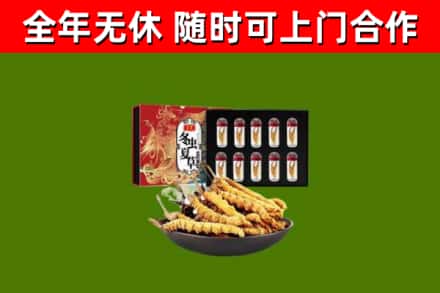 资阳区回收冬虫夏草价格